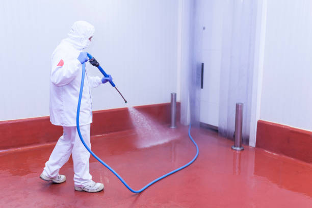 Professional  Pressure Washing Services in Central Point, OR